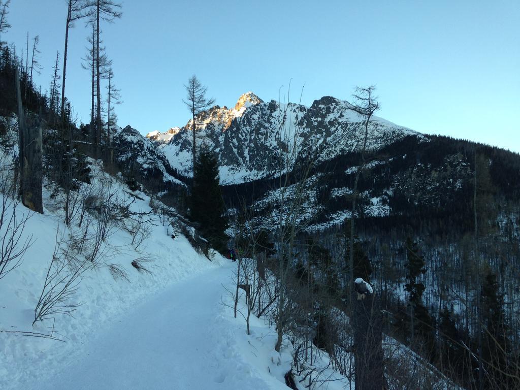 Studio A105 Stary Smokovec Hrebienok Vysoké Tatry 외부 사진
